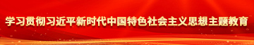 她在不操哭啊啊啊疼文学习贯彻习近平新时代中国特色社会主义思想主题教育